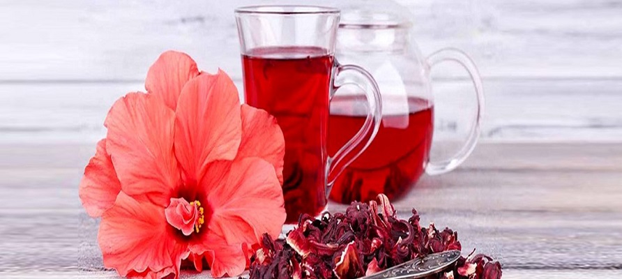 ۱۰۰ تن چای ترش از مزارع خوزستان برداشت می‌شود